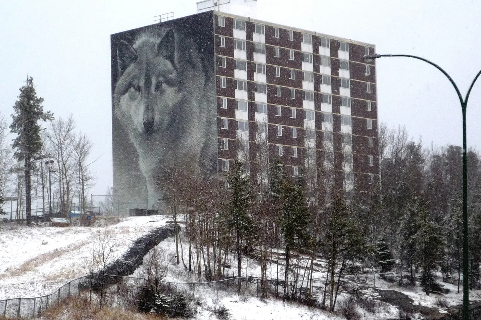 bus shelters in Thompson.